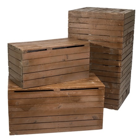 Box Wood S