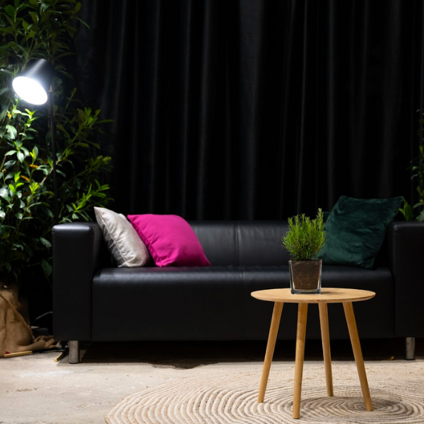 Coffee Table - Still, natural