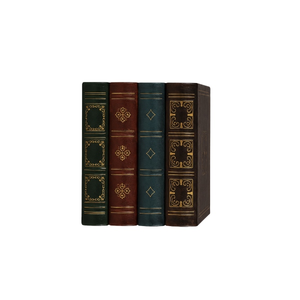 Okrasna škatla Books, S