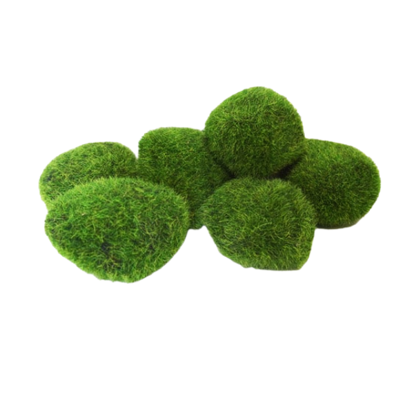 Decorative Moss rocks L