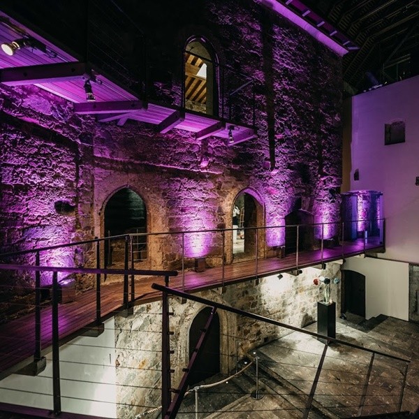 Robe - LED par LiteWare™ HO2 (DMX)