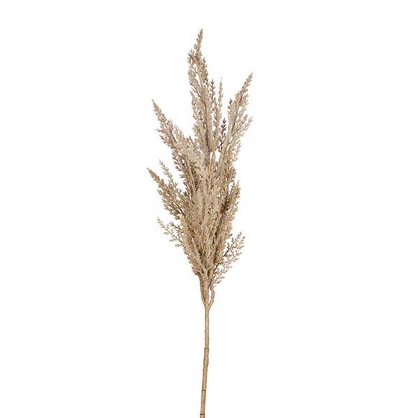 Decorative branch - Pampa grass 80