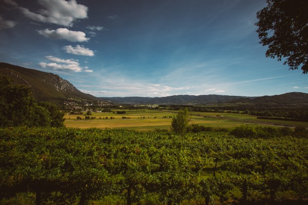 foto: Matjaž Očko