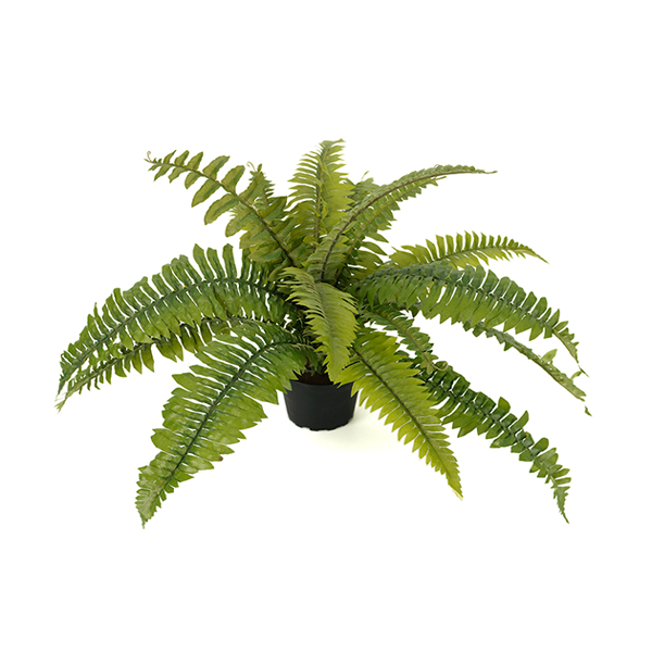 Artificial plant - Fern