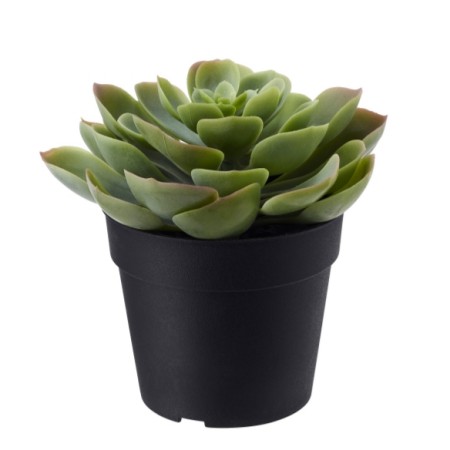 Artificial plant - Cactus