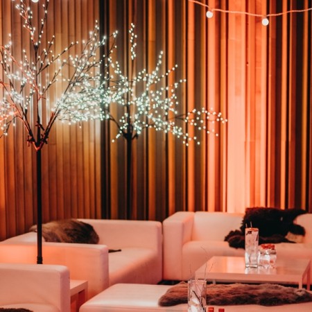 LED Decorative Tree - Iron