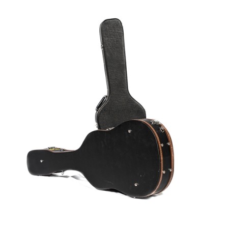 Decorative guitar case